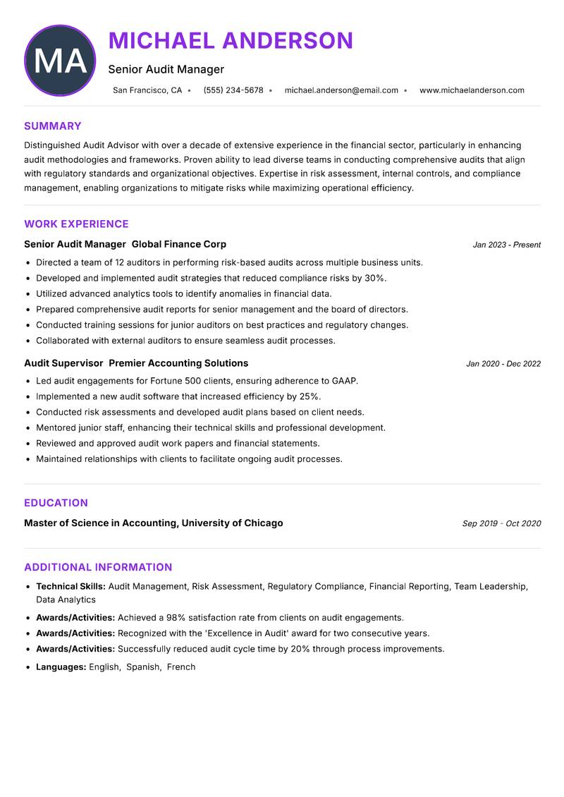 Audit Advisor resume example