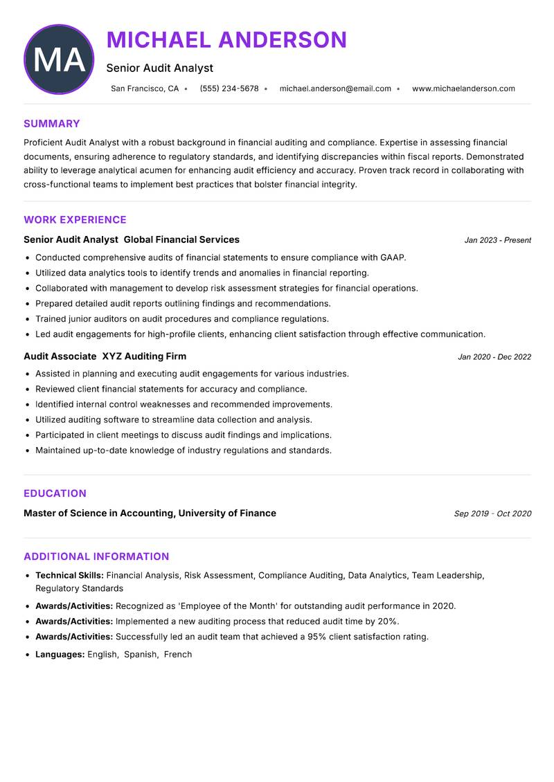 Audit Analyst resume example