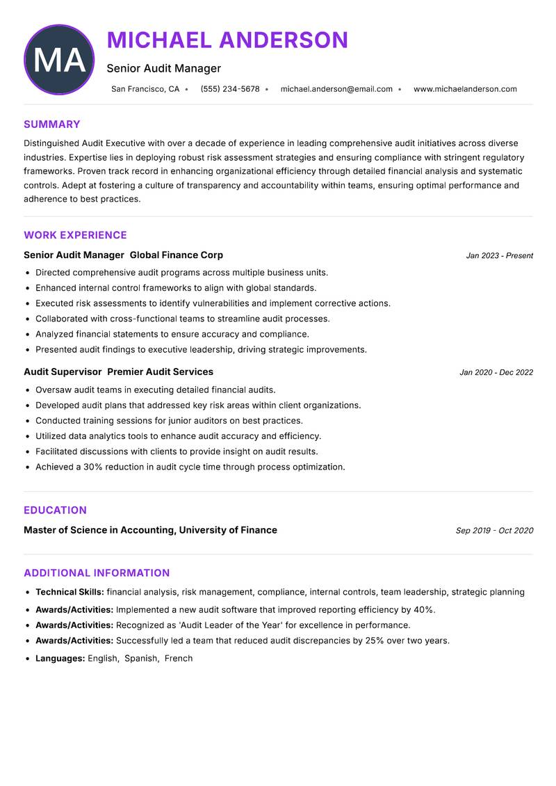 Audit Executive resume example