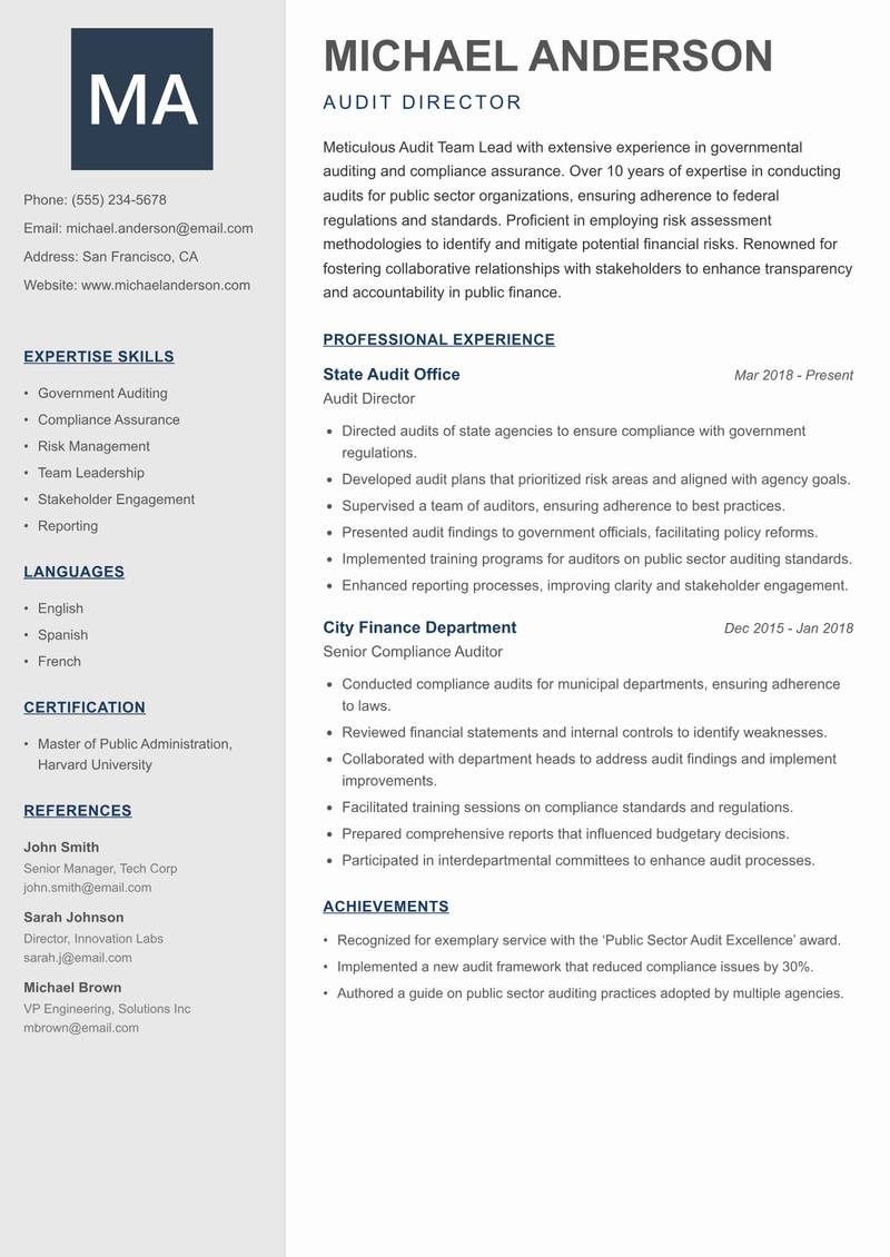 Audit Team Lead resume sample — Audit Director focus