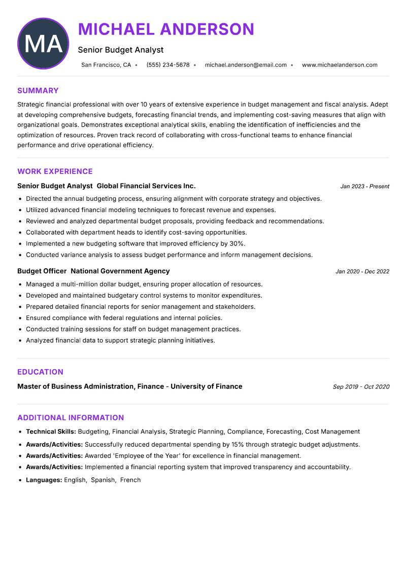 Budget Officer resume example