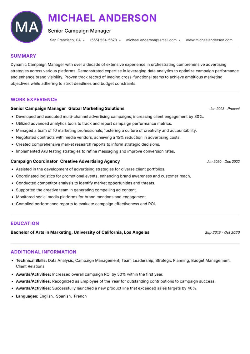 Campaign Manager Advertising resume example