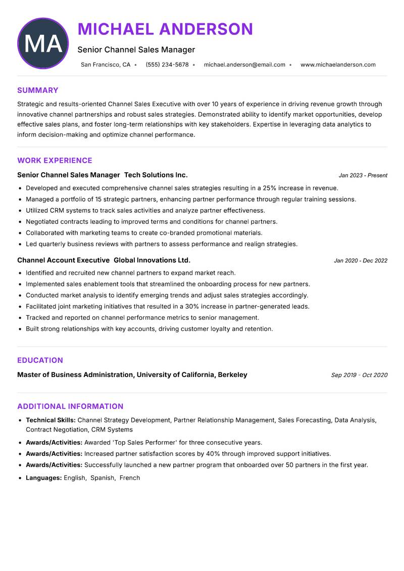 Channel Sales Executive resume example