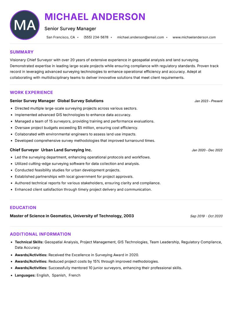 Chief Surveyor resume example