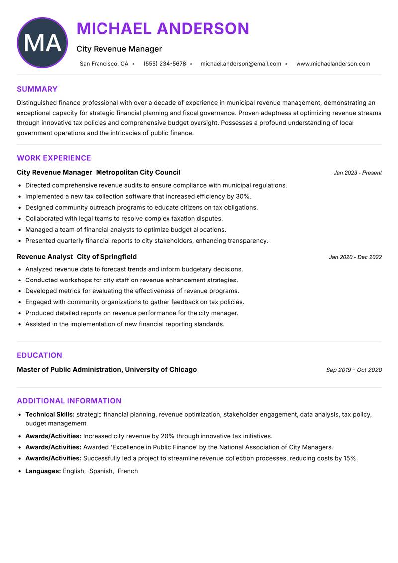 City Revenue Officer resume example