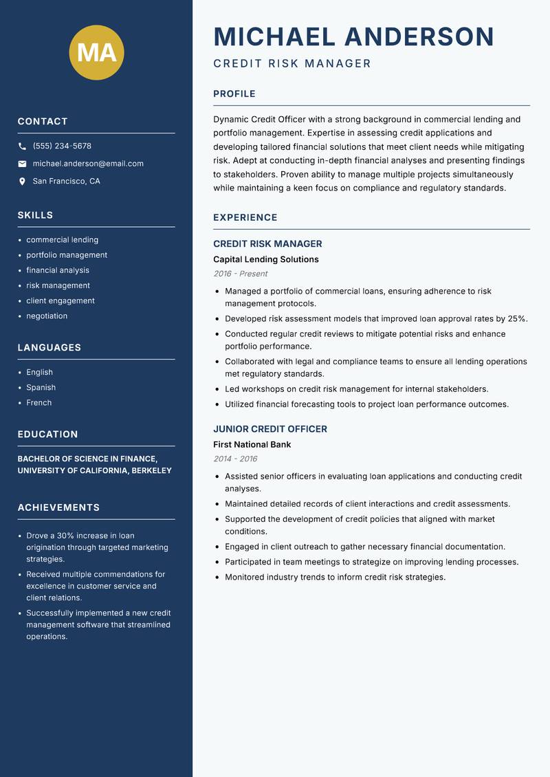 Credit Officer resume sample — Credit Risk Manager focus