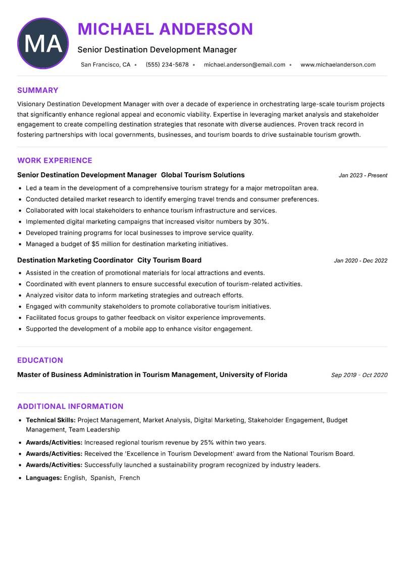 Destination Development Manager resume example