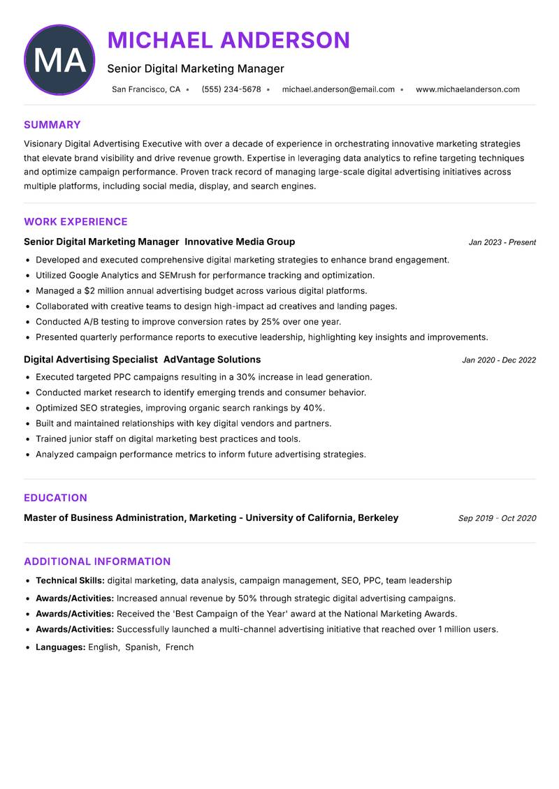 Digital Advertising Executive resume example