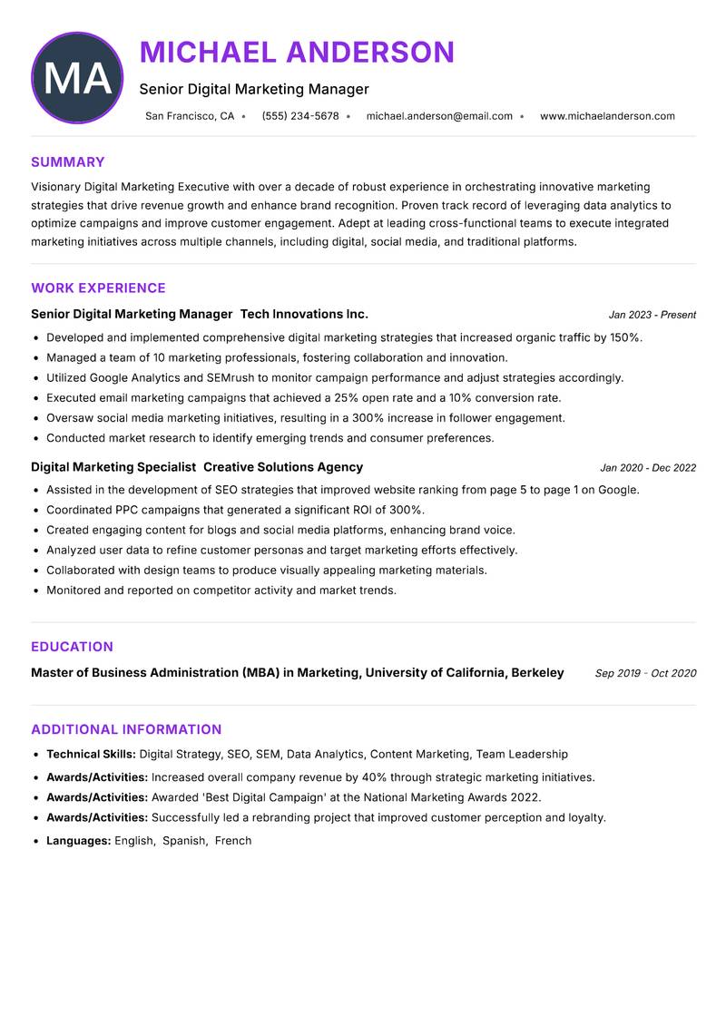 Digital Marketing Executive resume example