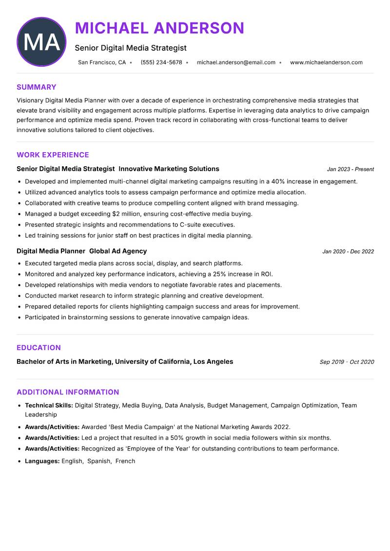 Digital Media Planner resume example