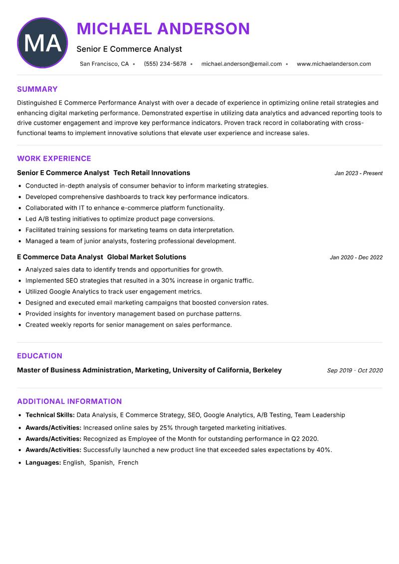 E Commerce Performance Analyst resume example