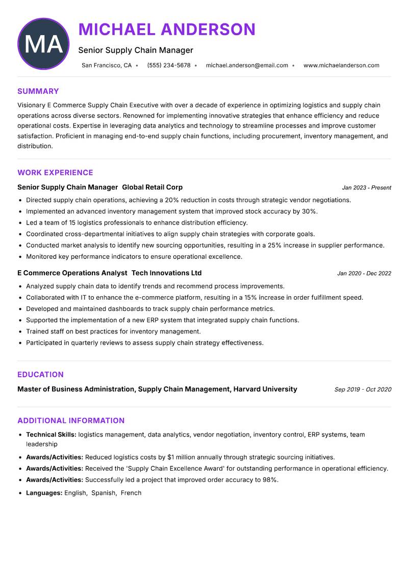 E Commerce Supply Chain Executive resume example