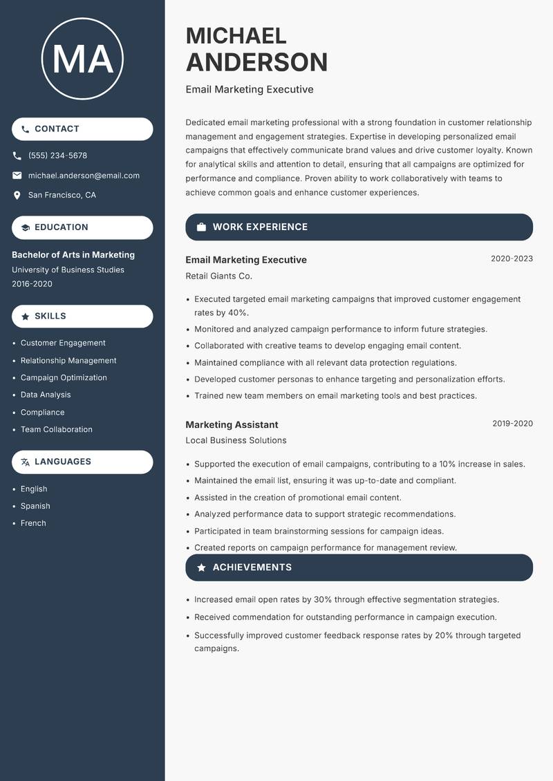 Email Marketing Executive resume sample — Email Marketing Executive focus