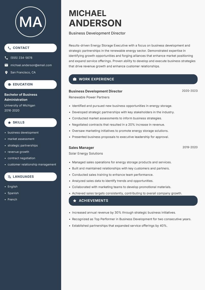 Energy Storage Executive resume sample — Business Development Director focus