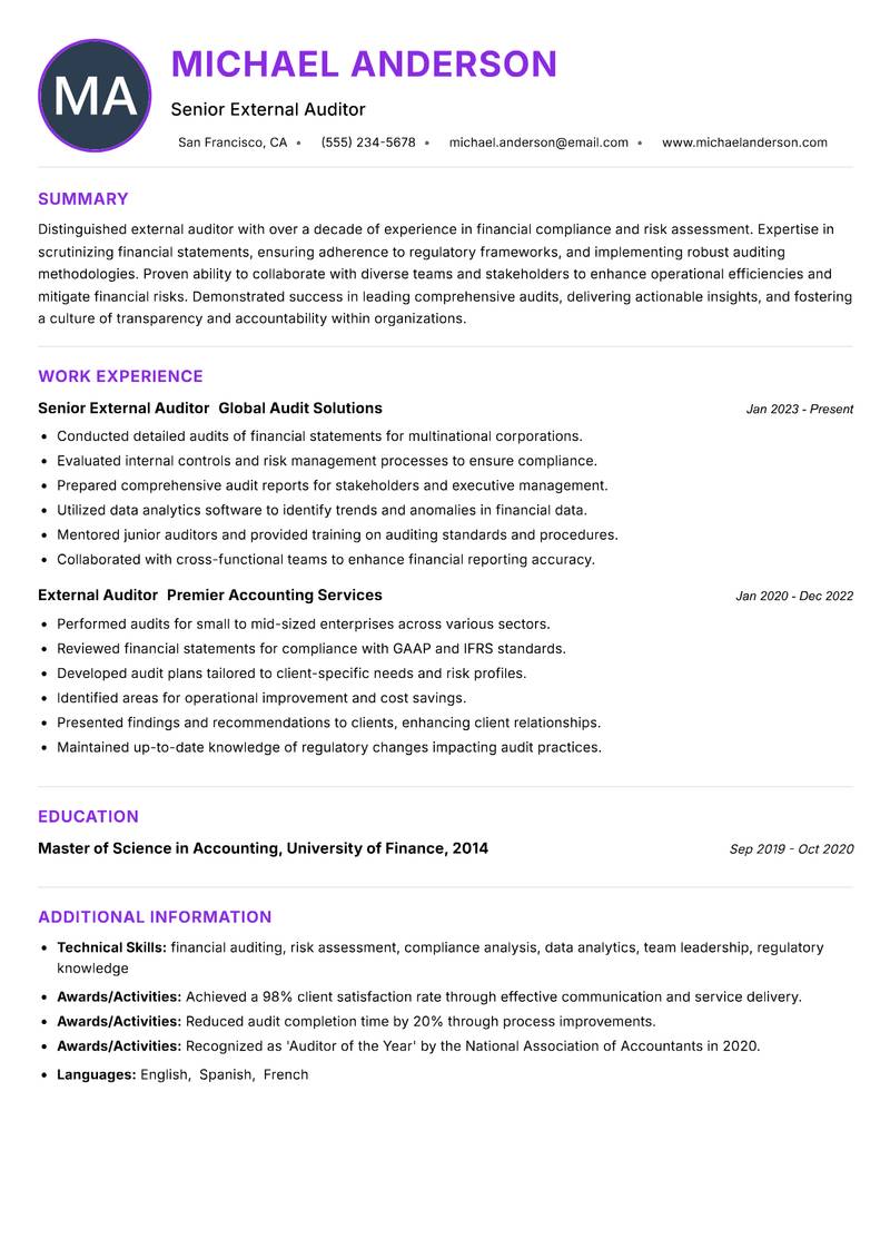 External Auditor resume example