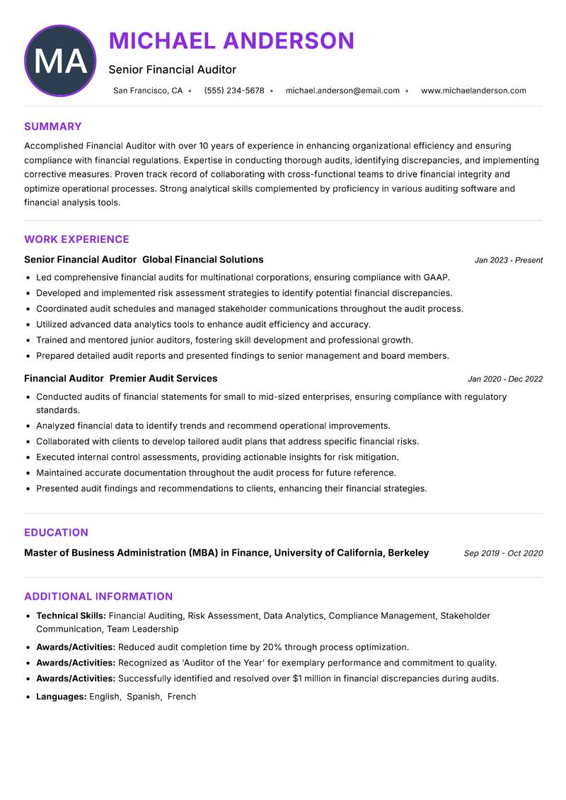Financial Auditor resume example