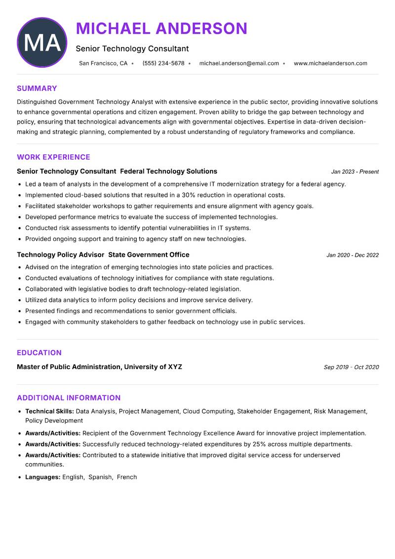 Government Technology Analyst resume example