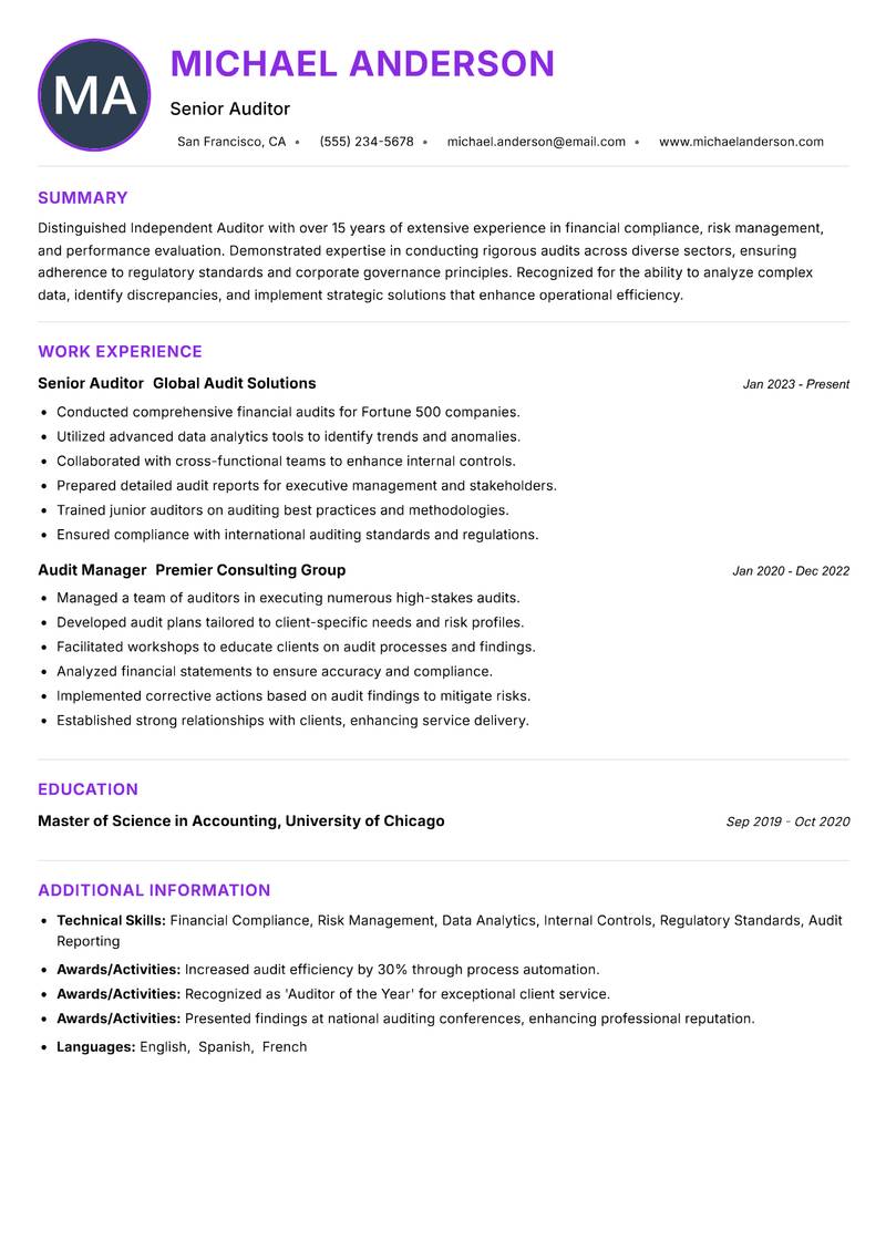 Independent Auditor resume example