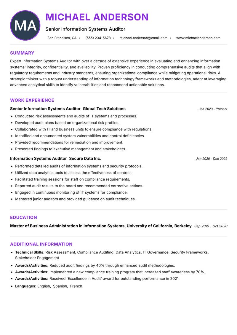 Information Systems Auditor resume example
