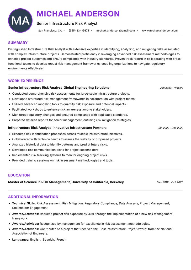 Infrastructure Risk Analyst resume example