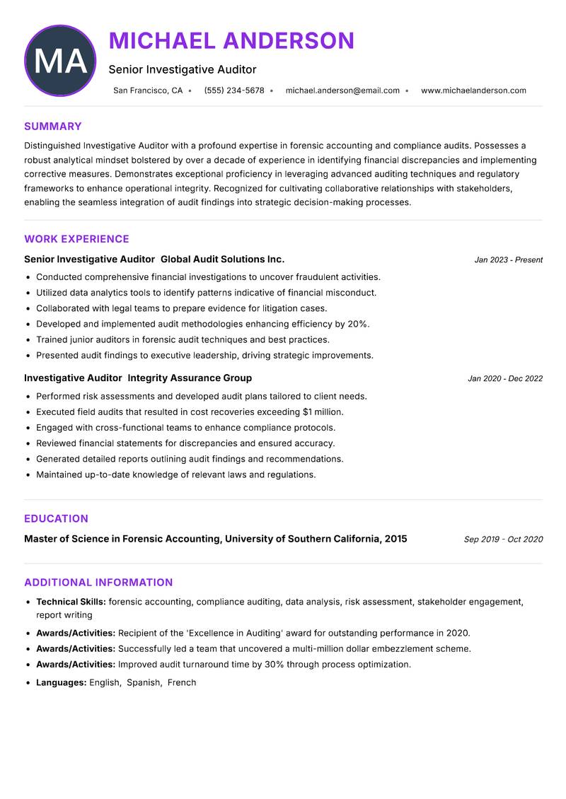 Investigative Auditor resume example