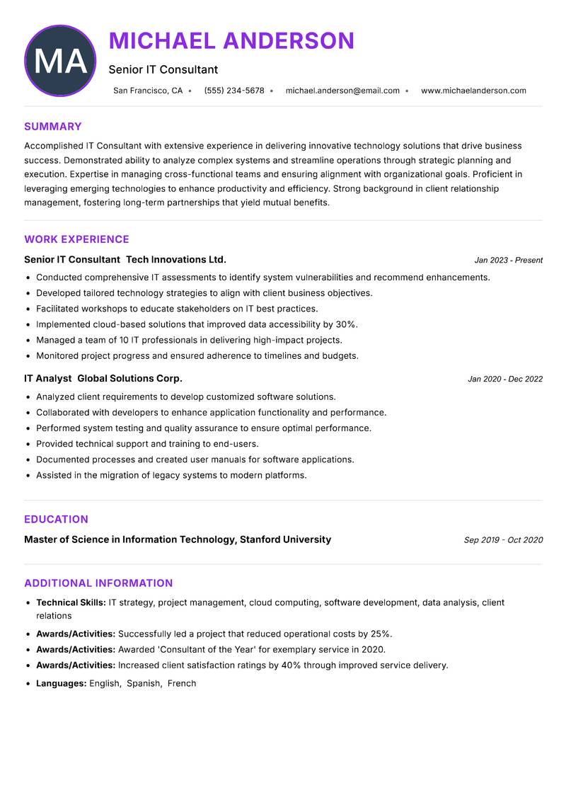 IT Consultant resume example