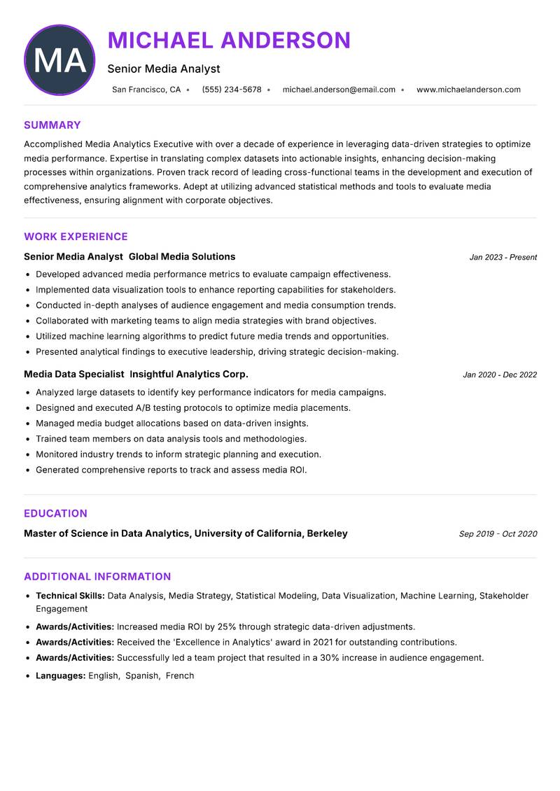 Media Analytics Executive resume example
