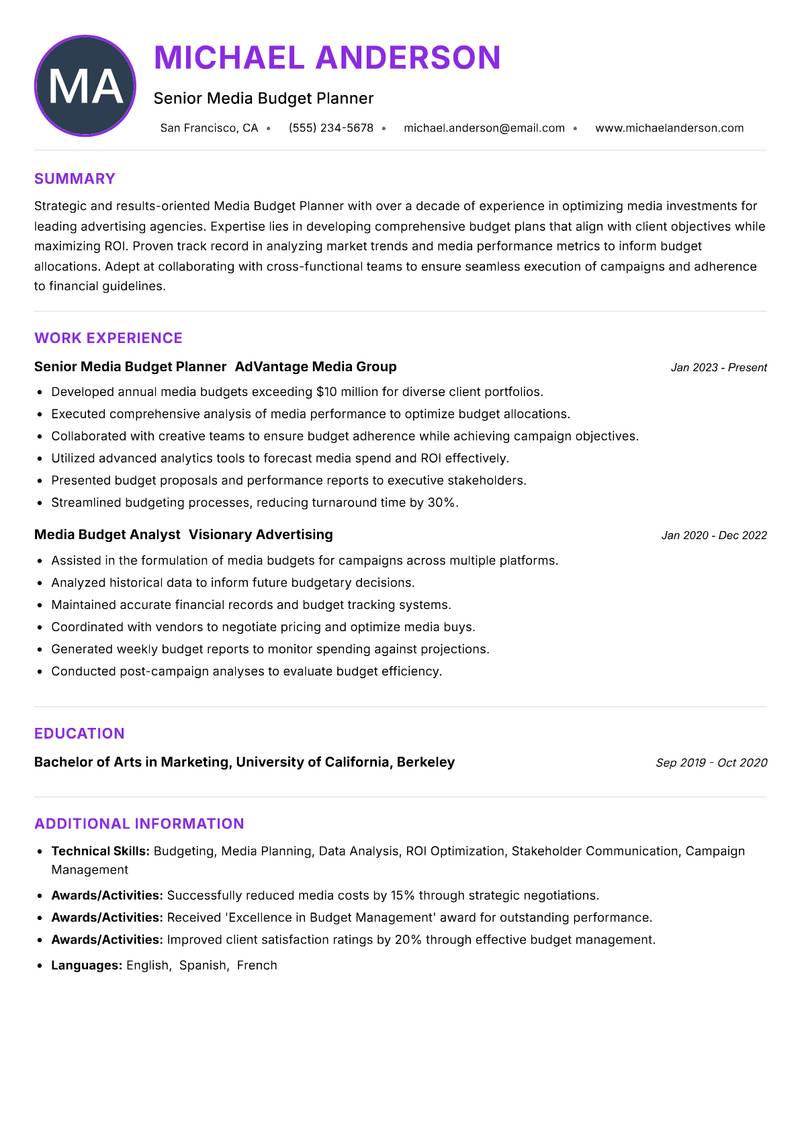 Media Budget Planner resume example