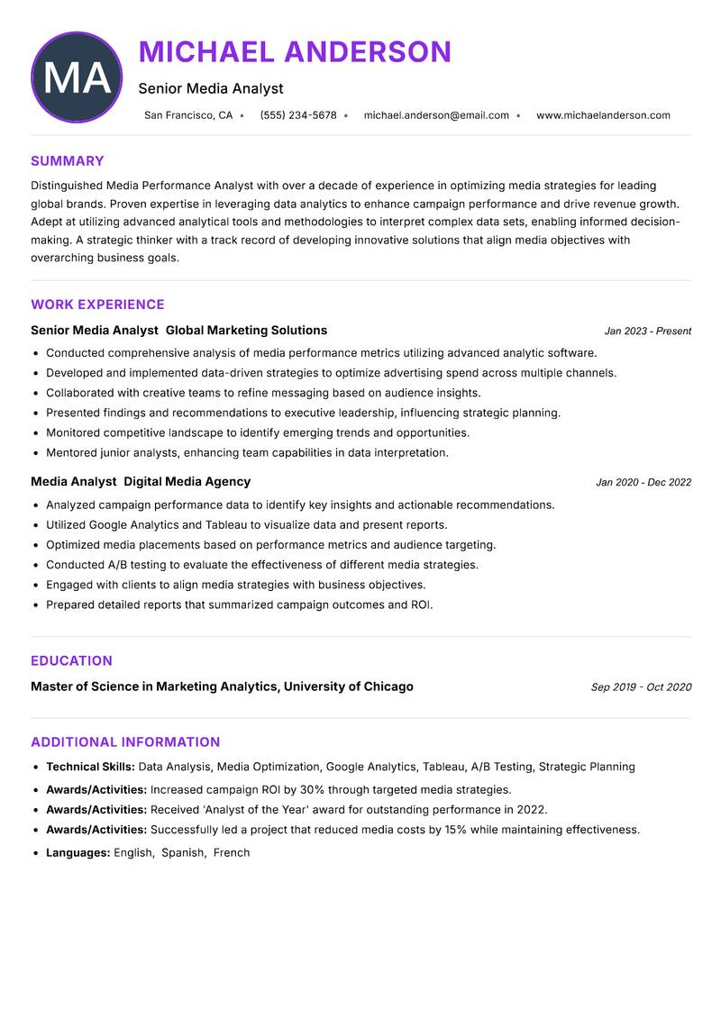 Media Performance Analyst resume example