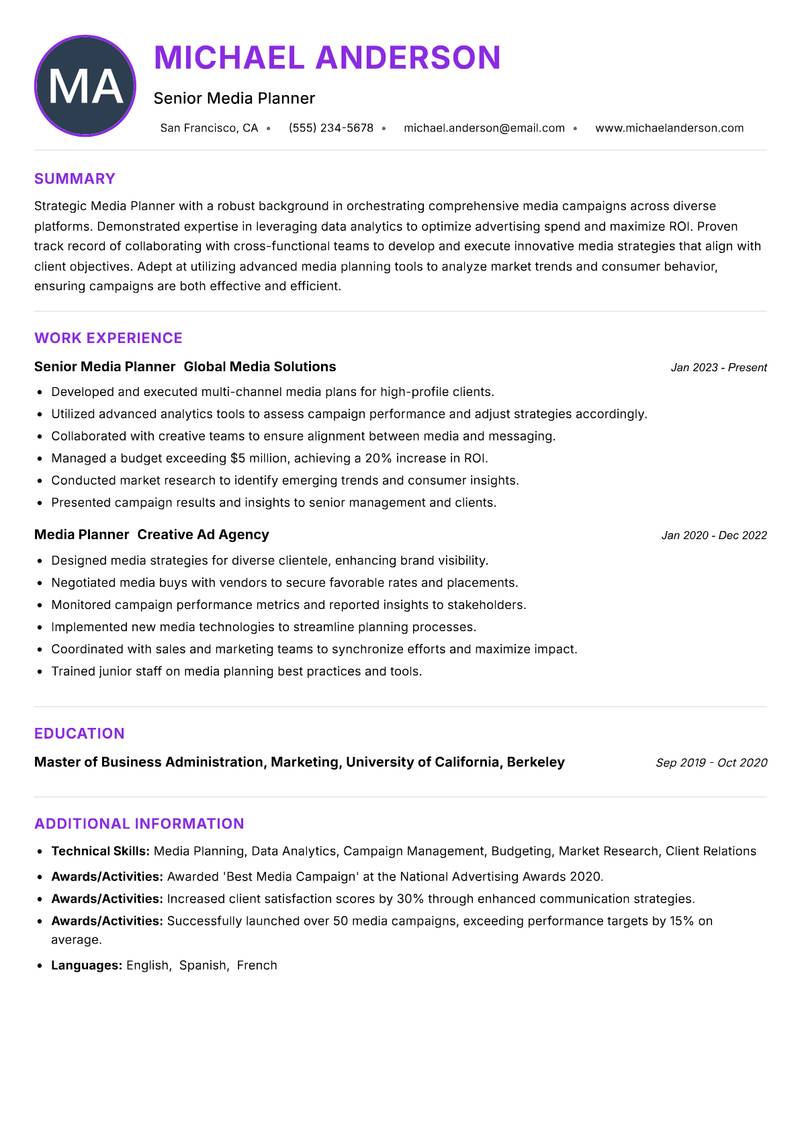 Media Planner resume example