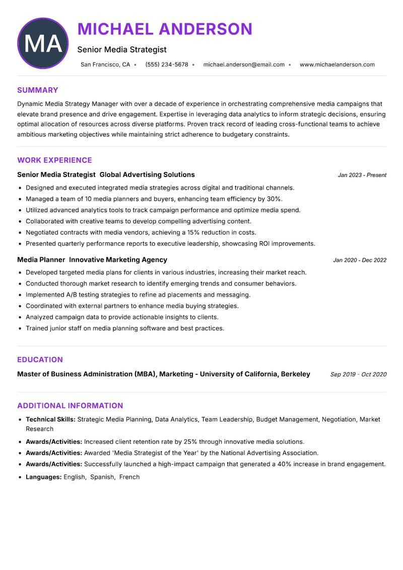 Media Strategy Manager resume example