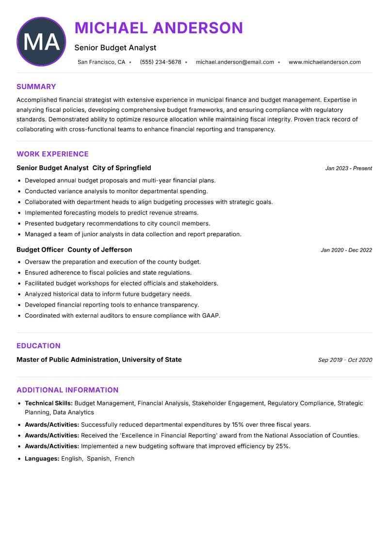 Municipal Budget Officer resume example