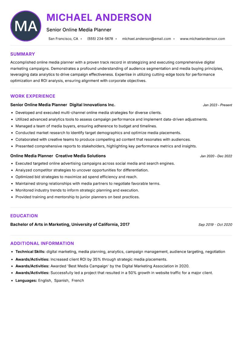 Online Media Planner resume example