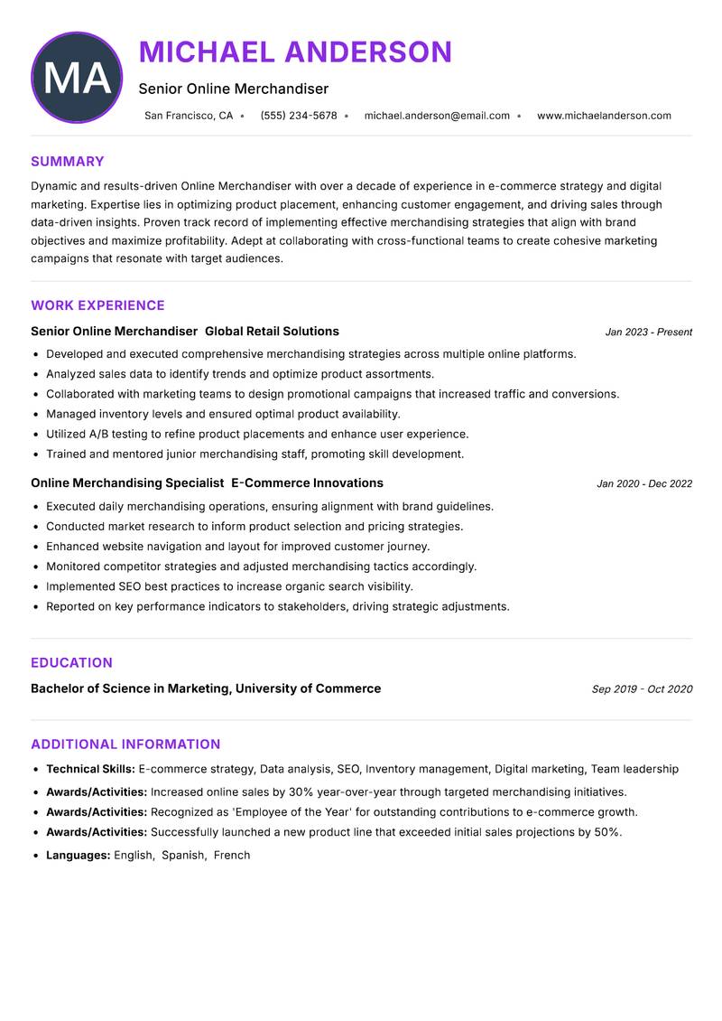 Online Merchandiser resume example
