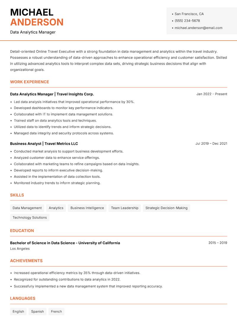 Online Travel Executive resume sample — Data Analytics Manager focus