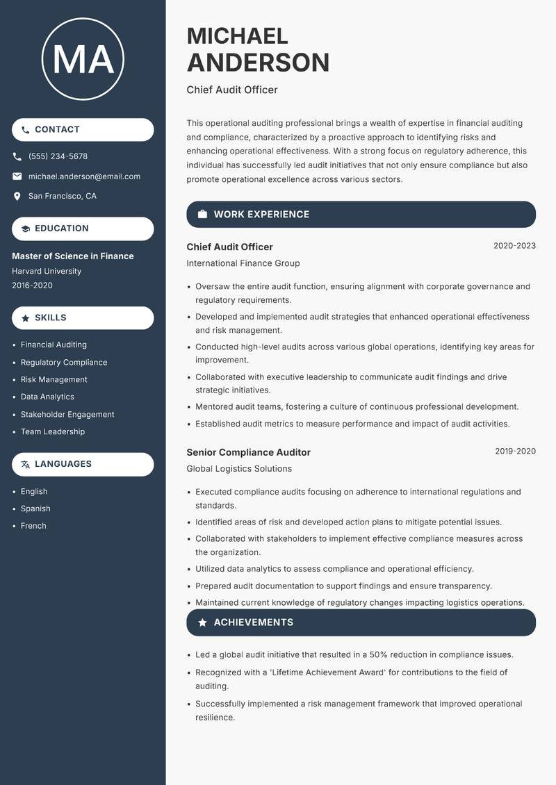 Operational Auditor resume sample — Chief Audit Officer focus