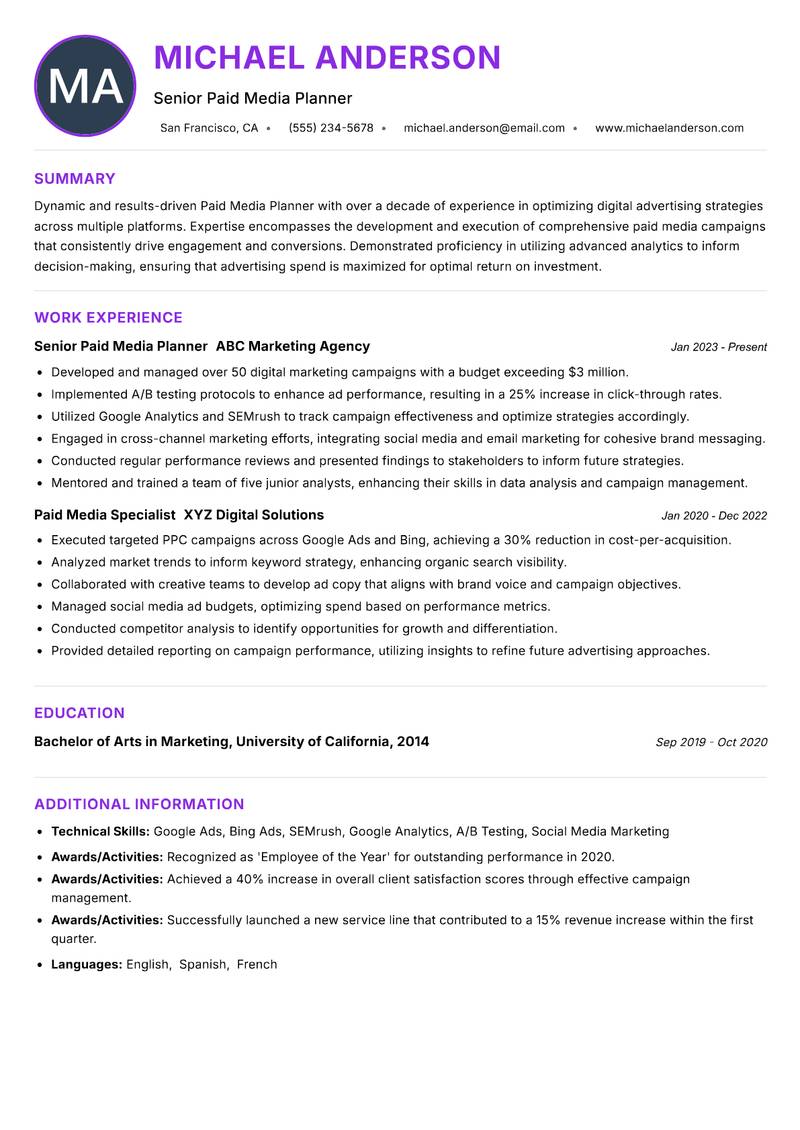 Paid Media Planner resume example