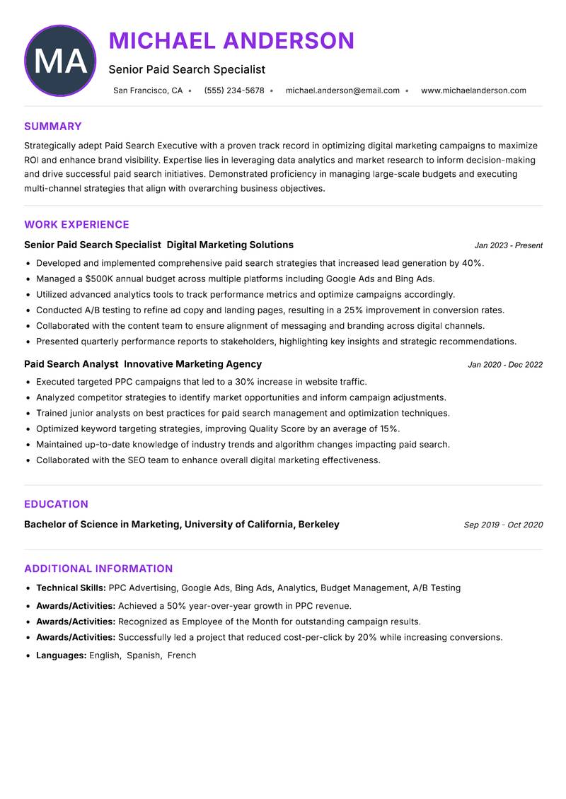 Paid Search Executive resume example