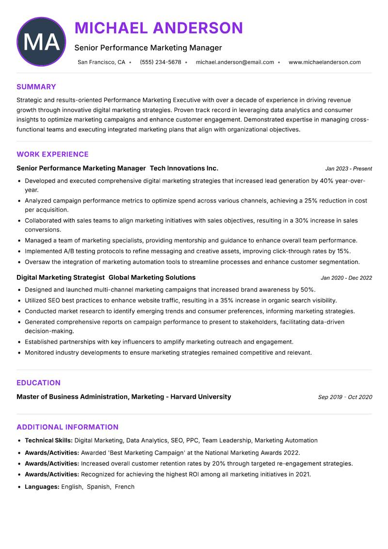 Performance Marketing Executive resume example