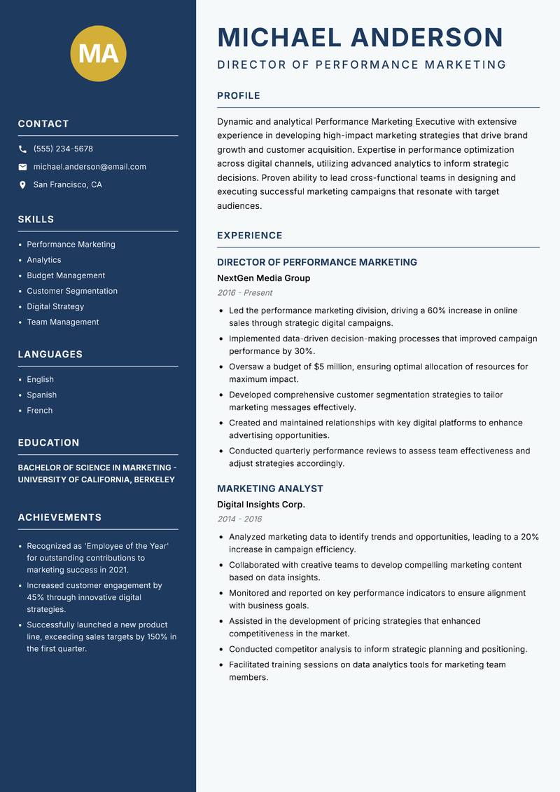 Performance Marketing Executive resume sample — Director of Performance Marketing focus