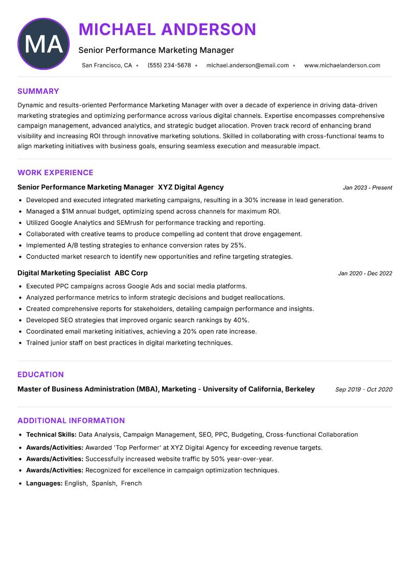 Performance Marketing Manager resume example