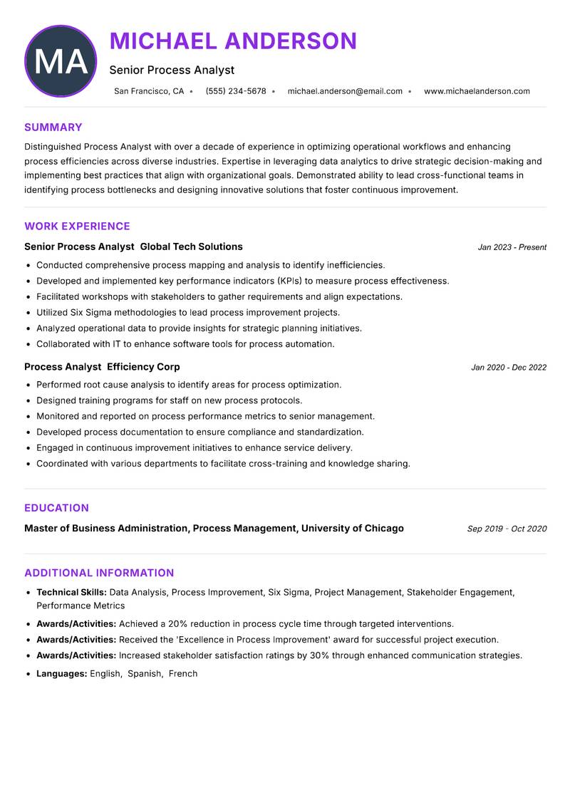 Process Analyst resume example