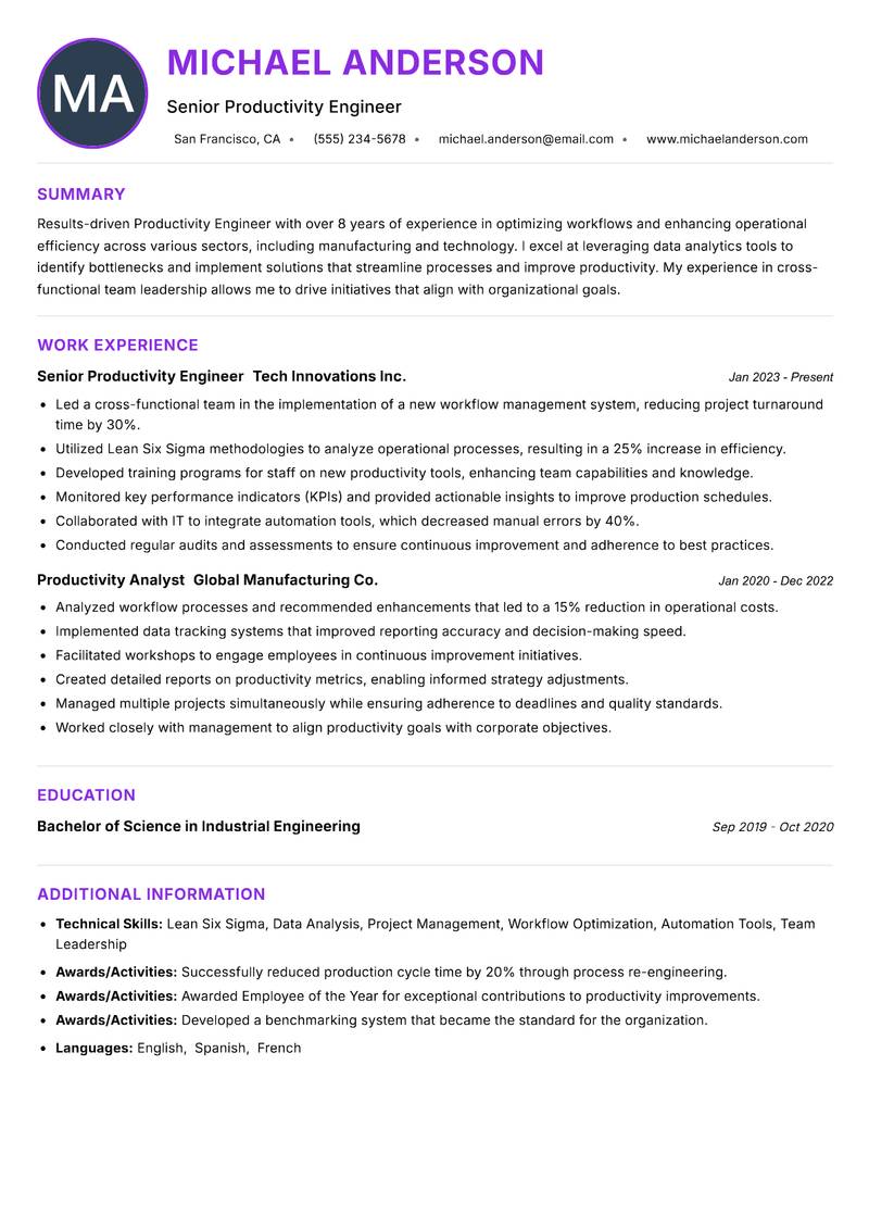Productivity Engineer resume example