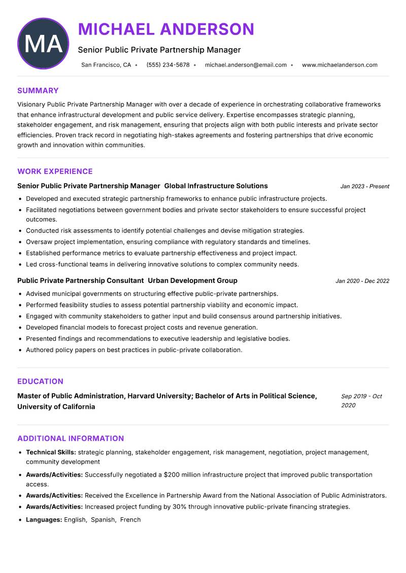 Public Private Partnership Manager resume example