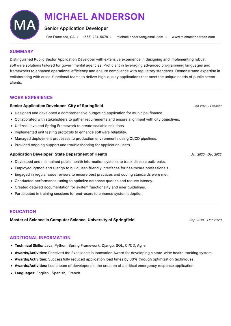 Public Sector Application Developer resume example