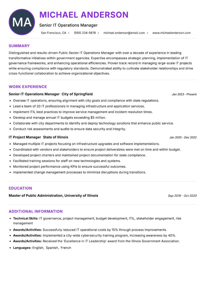 Public Sector IT Operations Manager resume example