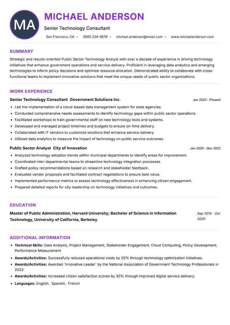 Public Sector Technology Analyst resume example