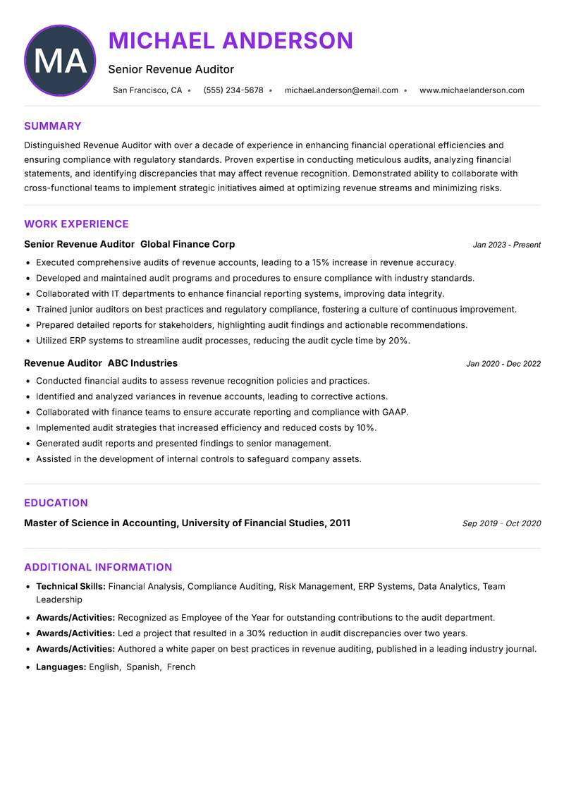Revenue Auditor resume example