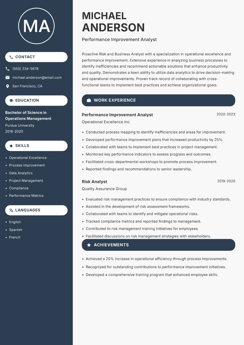 Risk and Business Analyst resume sample — Performance Improvement Analyst focus
