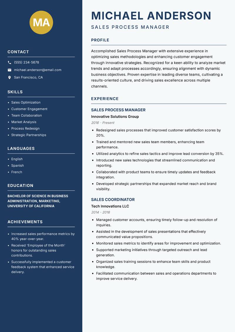 Sales Process Manager resume sample — Sales Process Manager focus